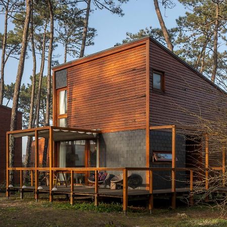 Bungalow B2 - Nature, Beach & River Ofir Exteriör bild