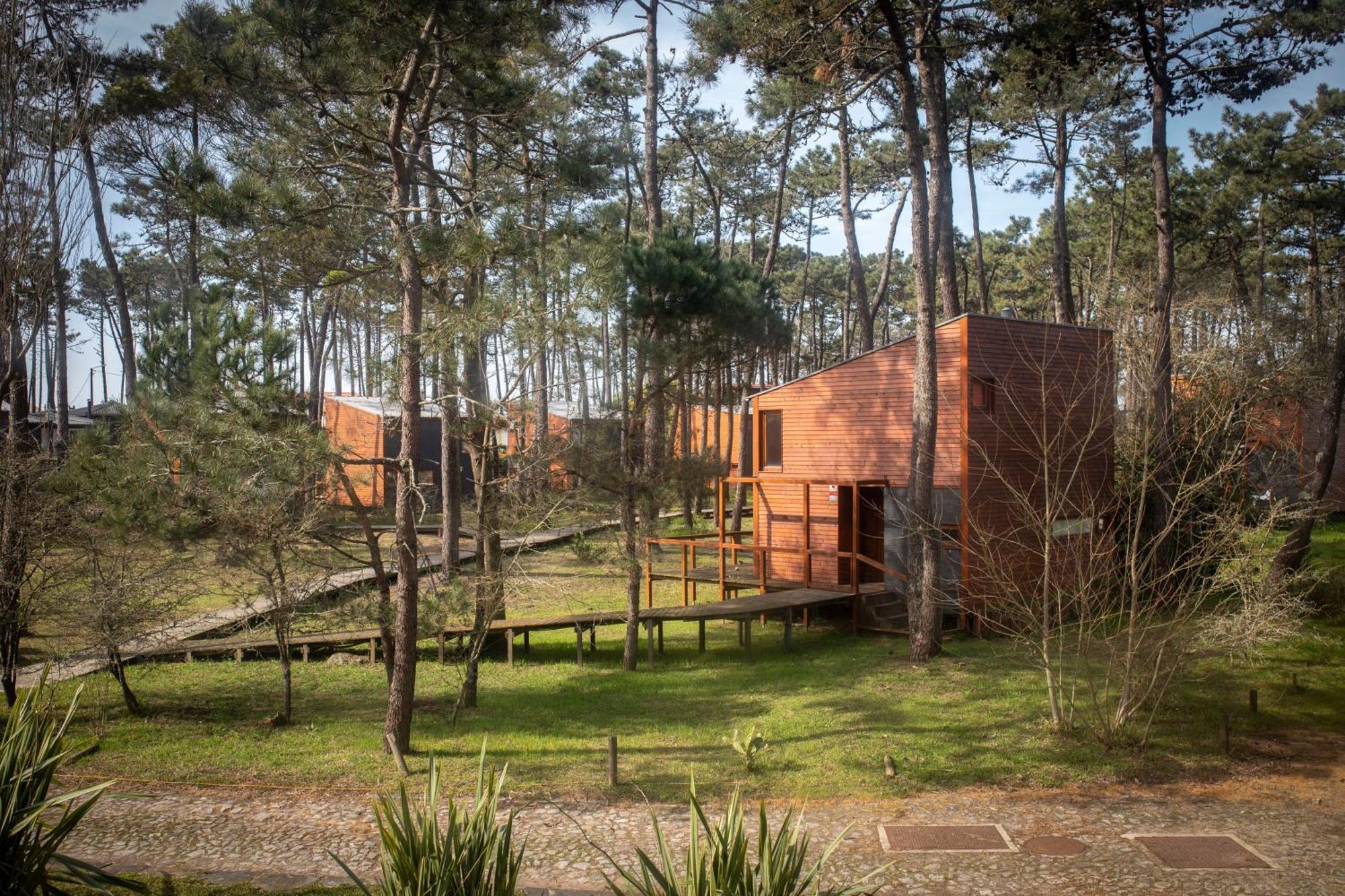Bungalow B2 - Nature, Beach & River Ofir Exteriör bild