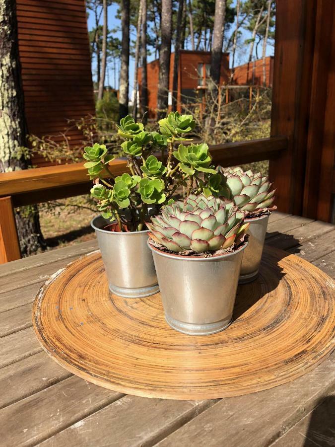 Bungalow B2 - Nature, Beach & River Ofir Exteriör bild