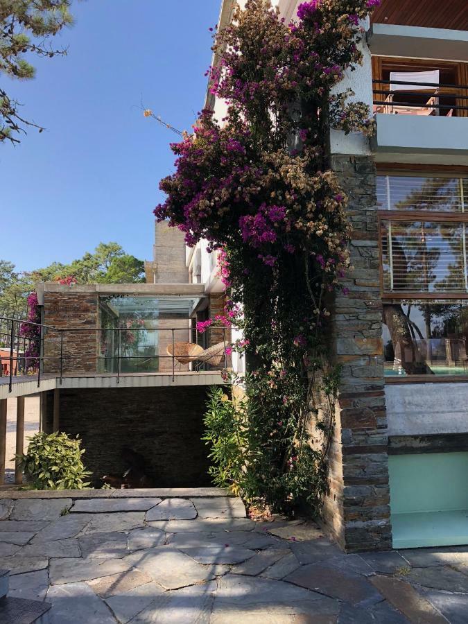 Bungalow B2 - Nature, Beach & River Ofir Exteriör bild