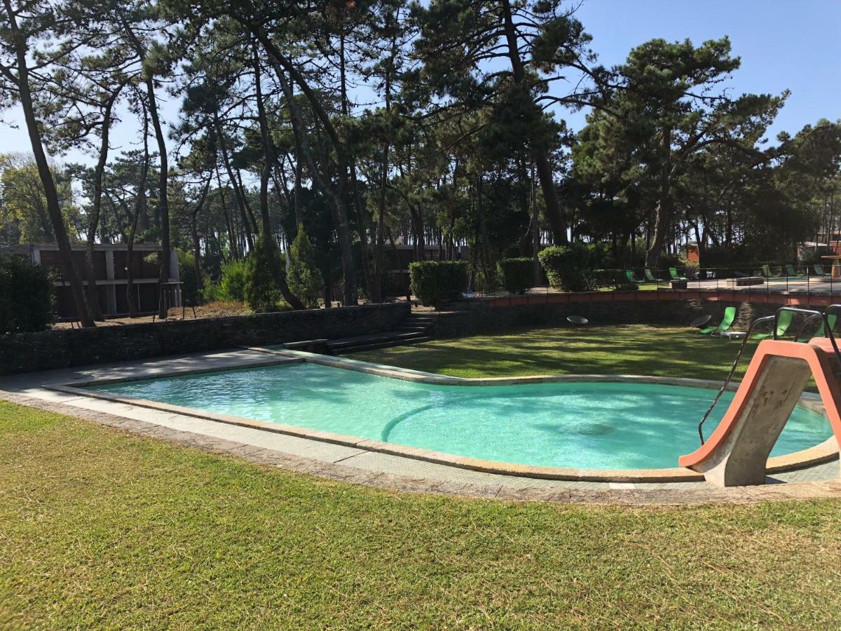 Bungalow B2 - Nature, Beach & River Ofir Exteriör bild