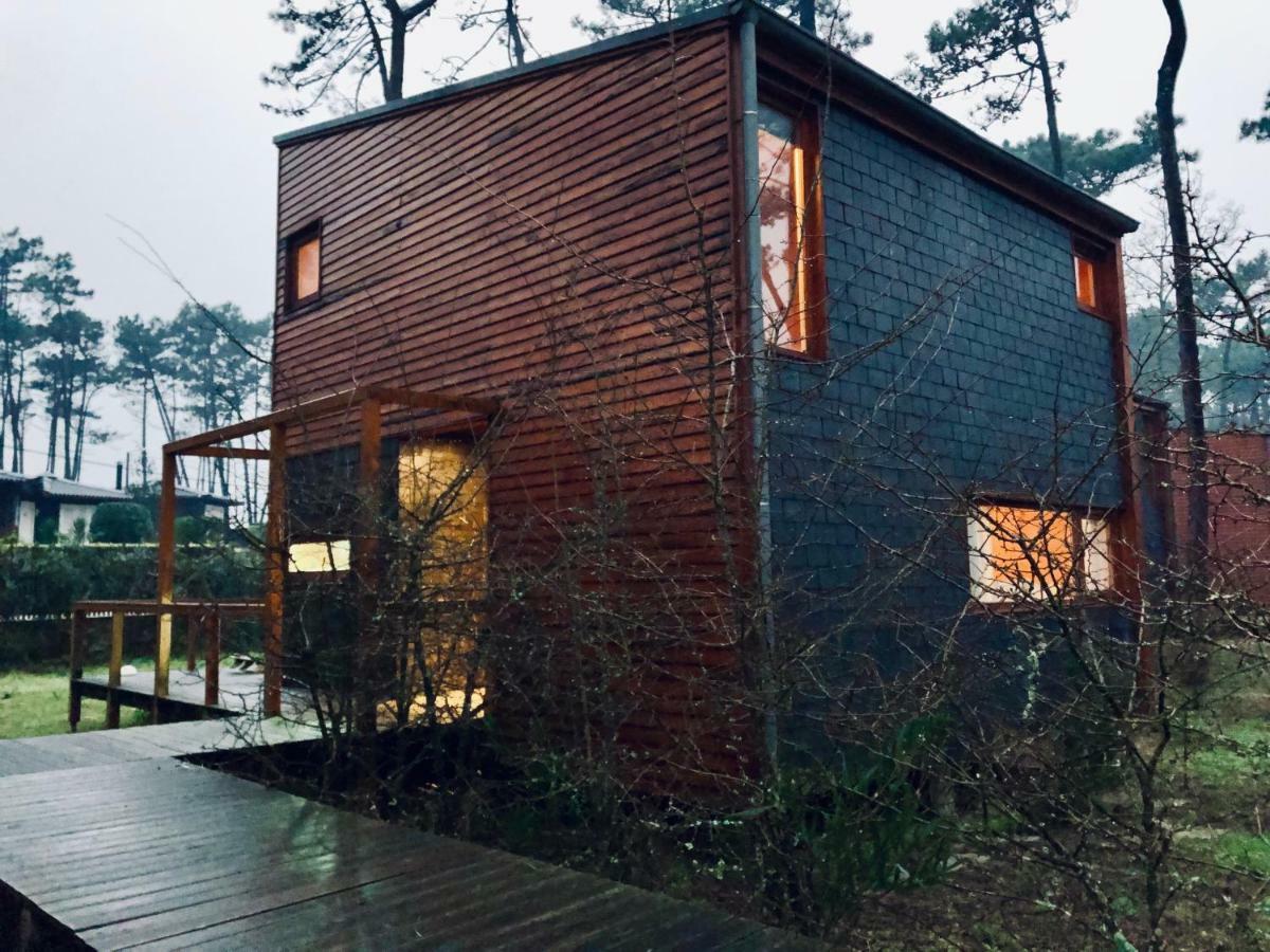 Bungalow B2 - Nature, Beach & River Ofir Exteriör bild