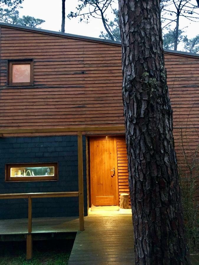Bungalow B2 - Nature, Beach & River Ofir Exteriör bild
