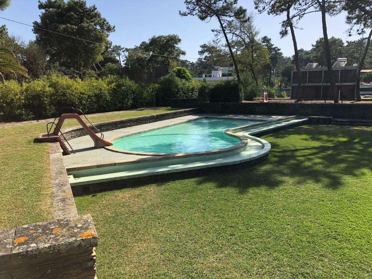 Bungalow B2 - Nature, Beach & River Ofir Exteriör bild