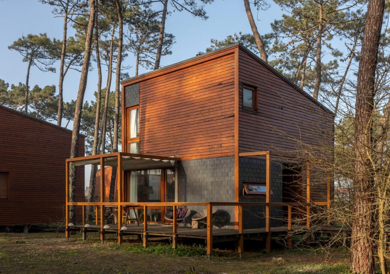 Bungalow B2 - Nature, Beach & River Ofir Exteriör bild