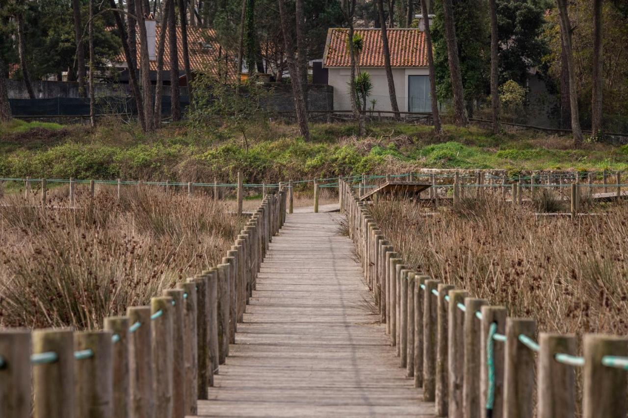 Bungalow B2 - Nature, Beach & River Ofir Exteriör bild