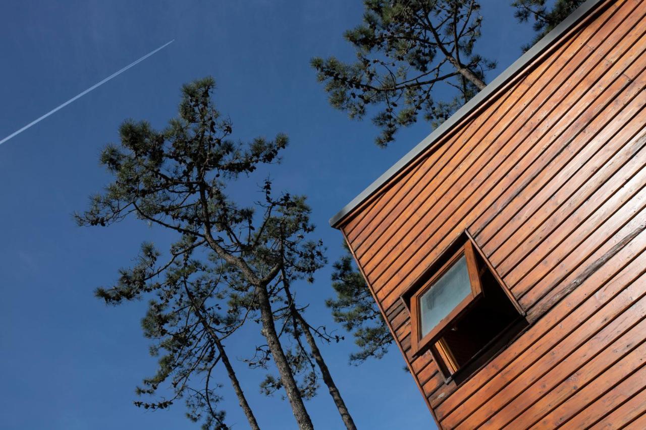 Bungalow B2 - Nature, Beach & River Ofir Exteriör bild