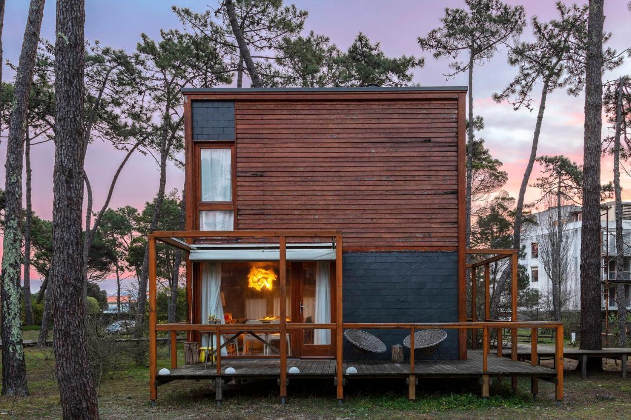 Bungalow B2 - Nature, Beach & River Ofir Exteriör bild