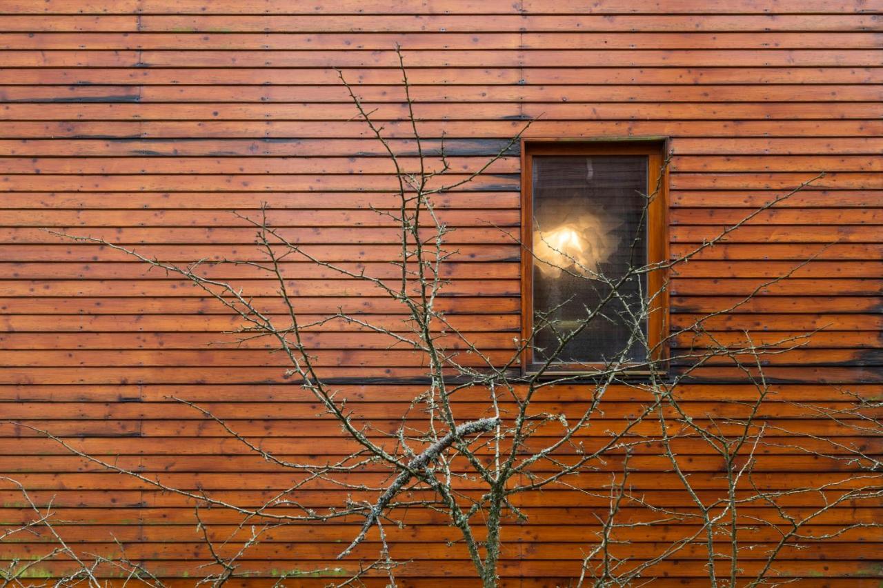 Bungalow B2 - Nature, Beach & River Ofir Exteriör bild